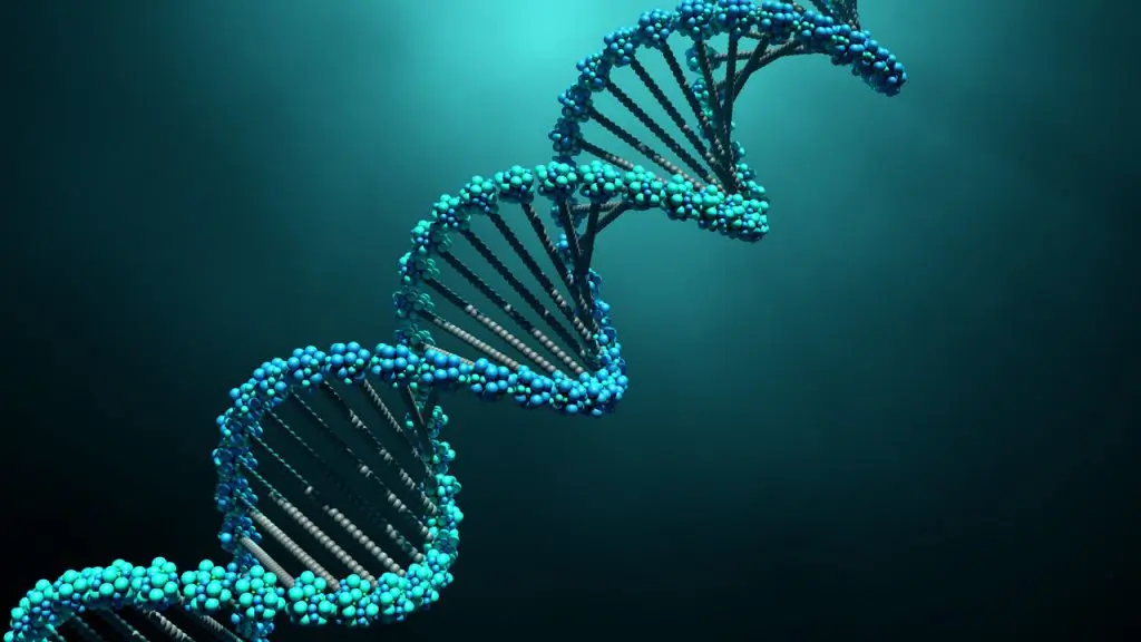 DNA: Kode Rahasia Kehidupan Terungkap