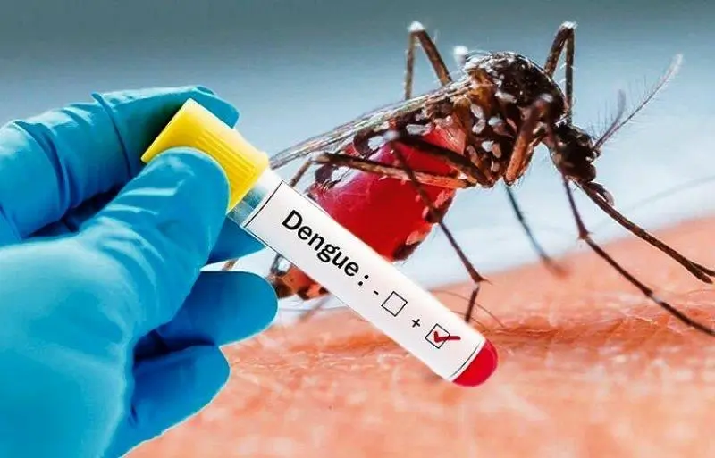Demam Berdarah, Dengue